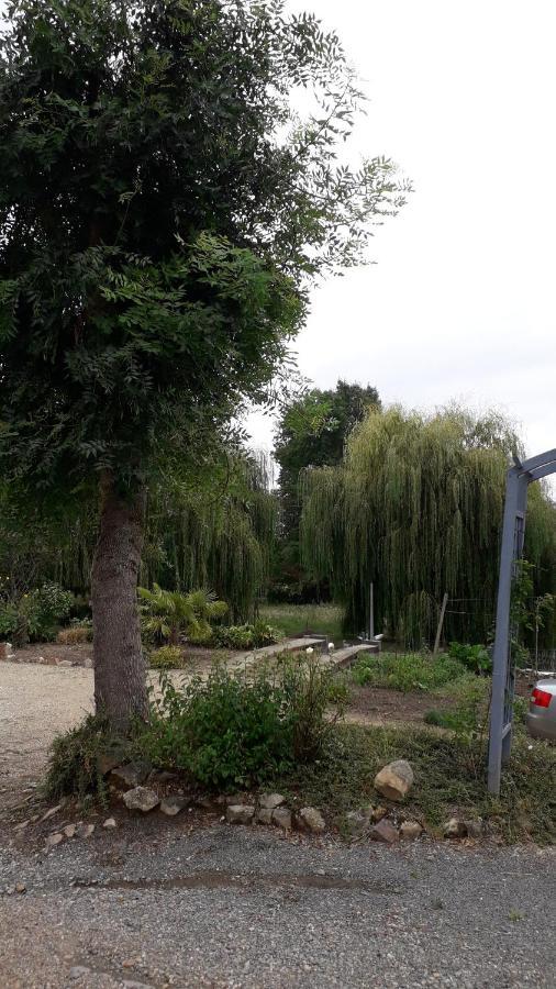 Entre Vignes Et Loire Apartamento Blaison-Saint-Sulpice Exterior foto
